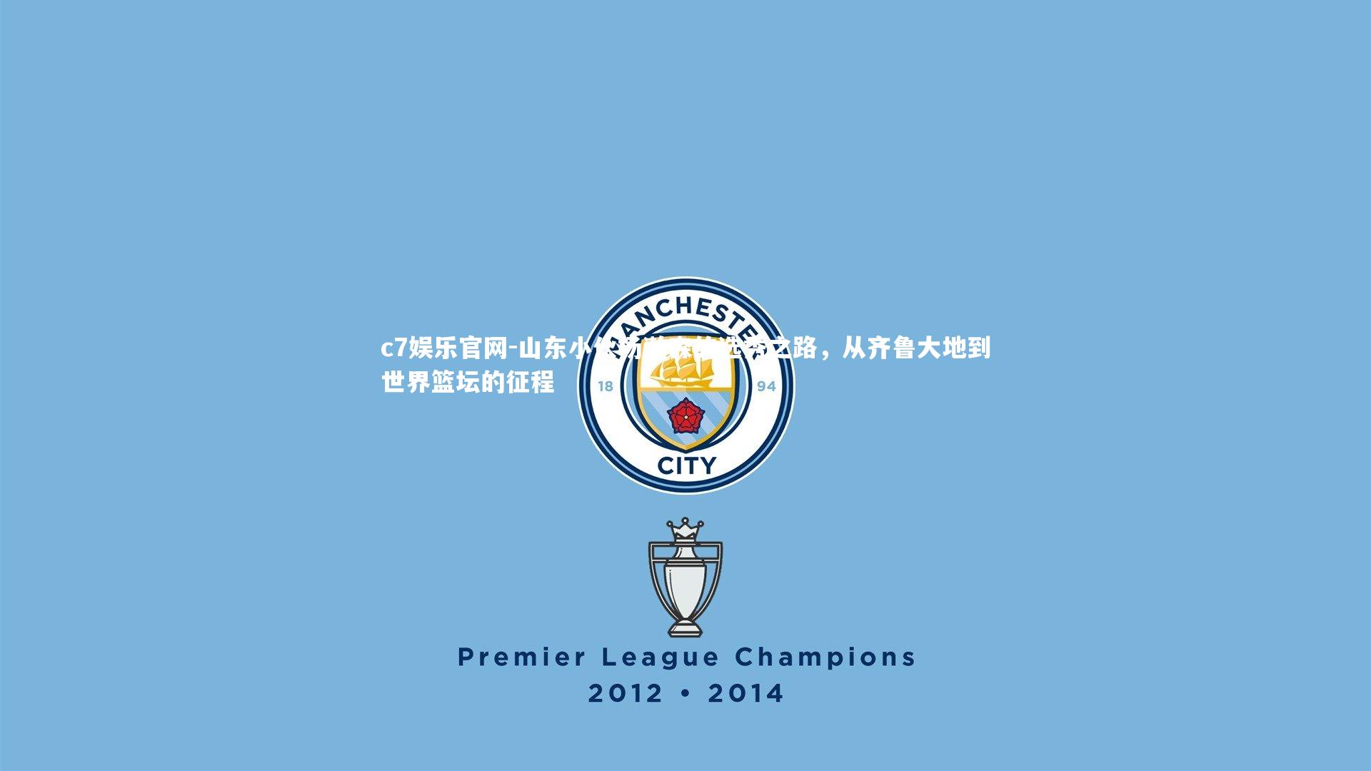 山东小伙杨瀚森的选秀之路，从齐鲁大地到世界篮坛的征程